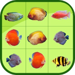 m6米乐app